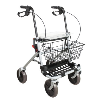 Rollator in acciaio...